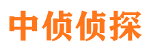 台江侦探公司